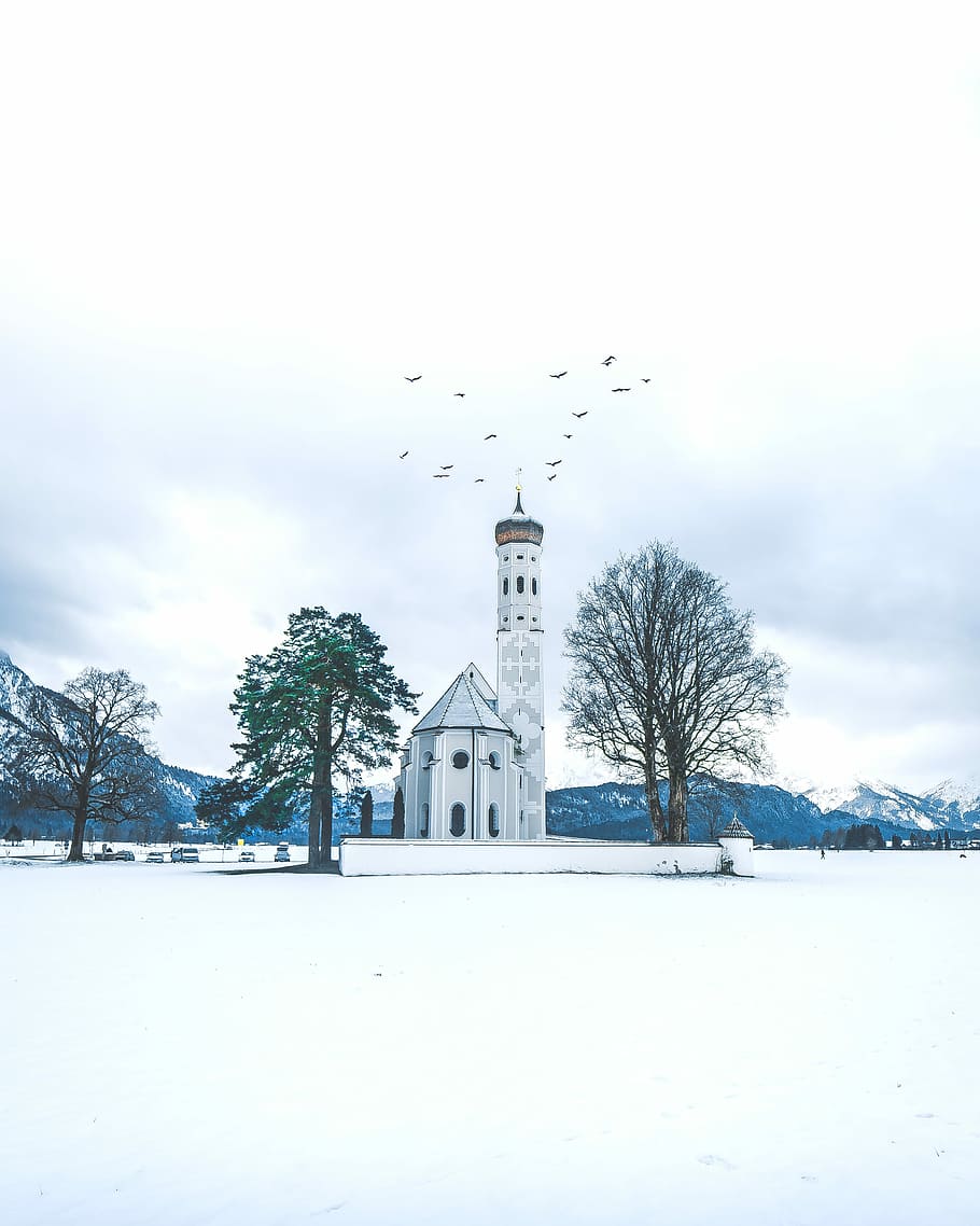 snow covered filed with cathedral, white structure with trees under cloudy skies HD wallpaper
