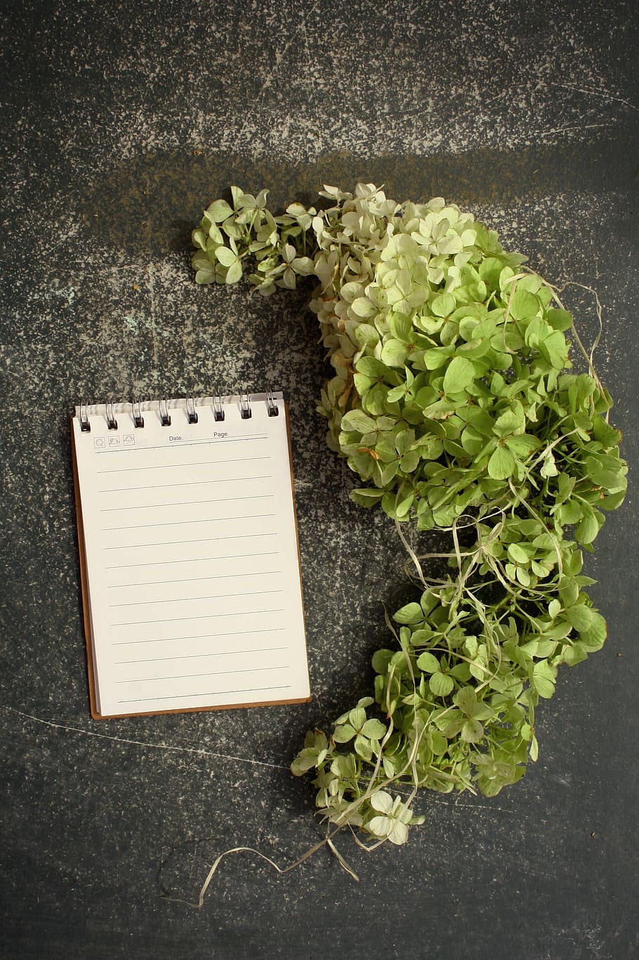 block, hydrangea, sheet, freshness, no people, food and drink HD wallpaper