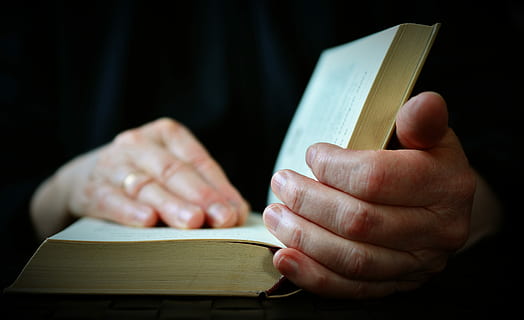 person opening book, hands, read, open book, bible, literature HD wallpaper
