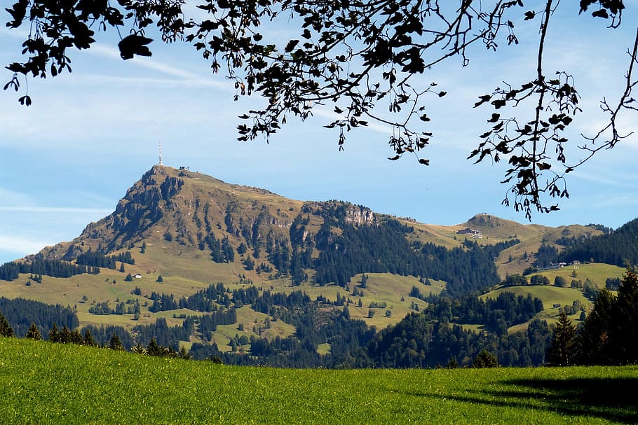 kitzbüheler horn, mountain peak, tyrol, hiking, mountains, HD wallpaper