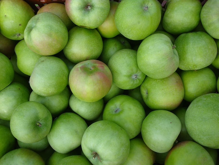 Apple, Fruit, green, green color, healthy eating, food and drink HD wallpaper