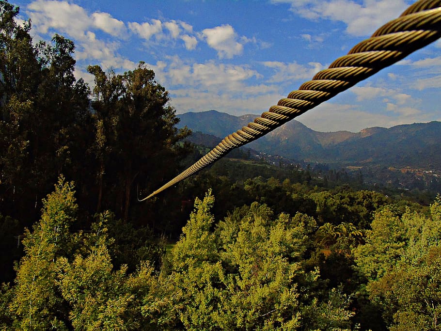 Tyrolean, Canopy, Cable, canopi, tirolina, adrenaline, nature HD wallpaper