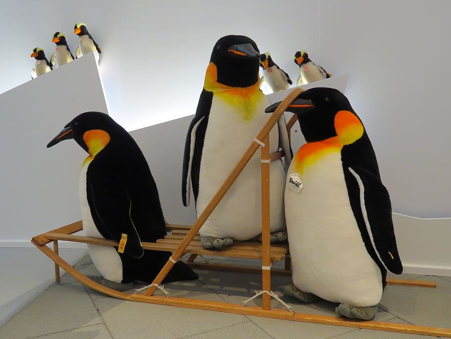 emperor penguins on sled, penguin family, slide, arctic, antarctica, HD wallpaper