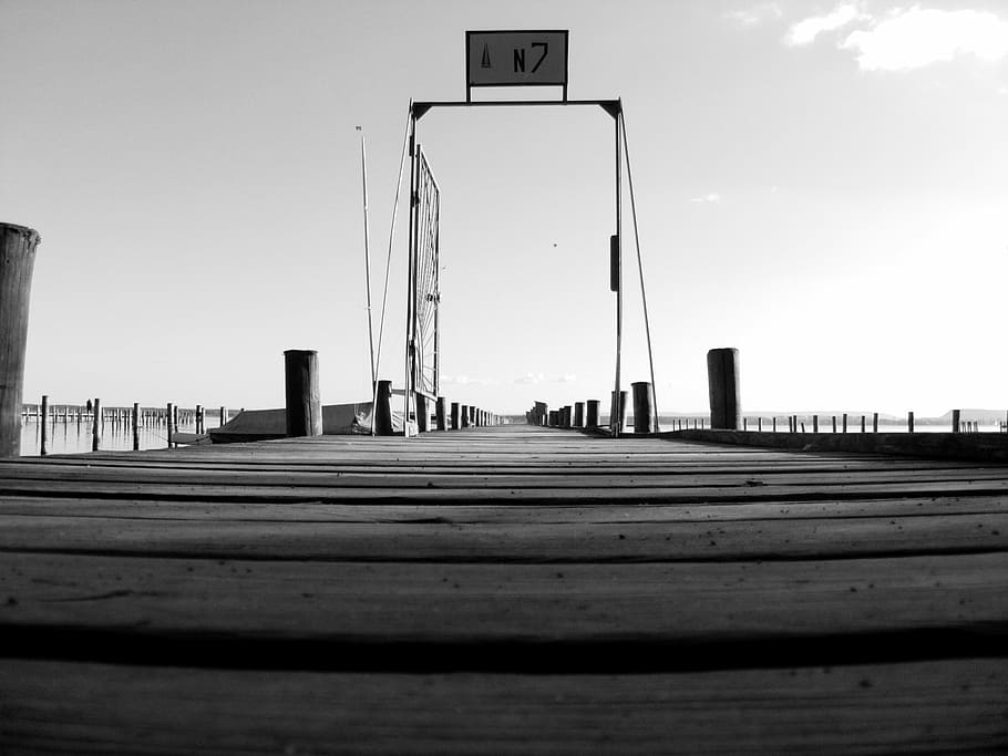 web, bridge, shield, black and white, sky, architecture, built structure HD wallpaper