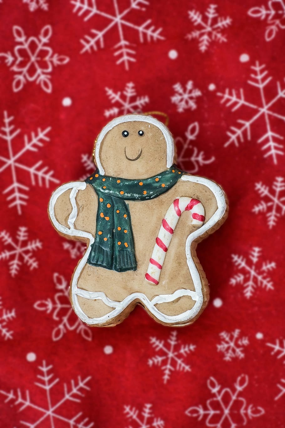 35900 Gingerbread Man Stock Photos Pictures  RoyaltyFree Images   iStock  Gingerbread man vector Gingerbread man cookie Sad gingerbread man