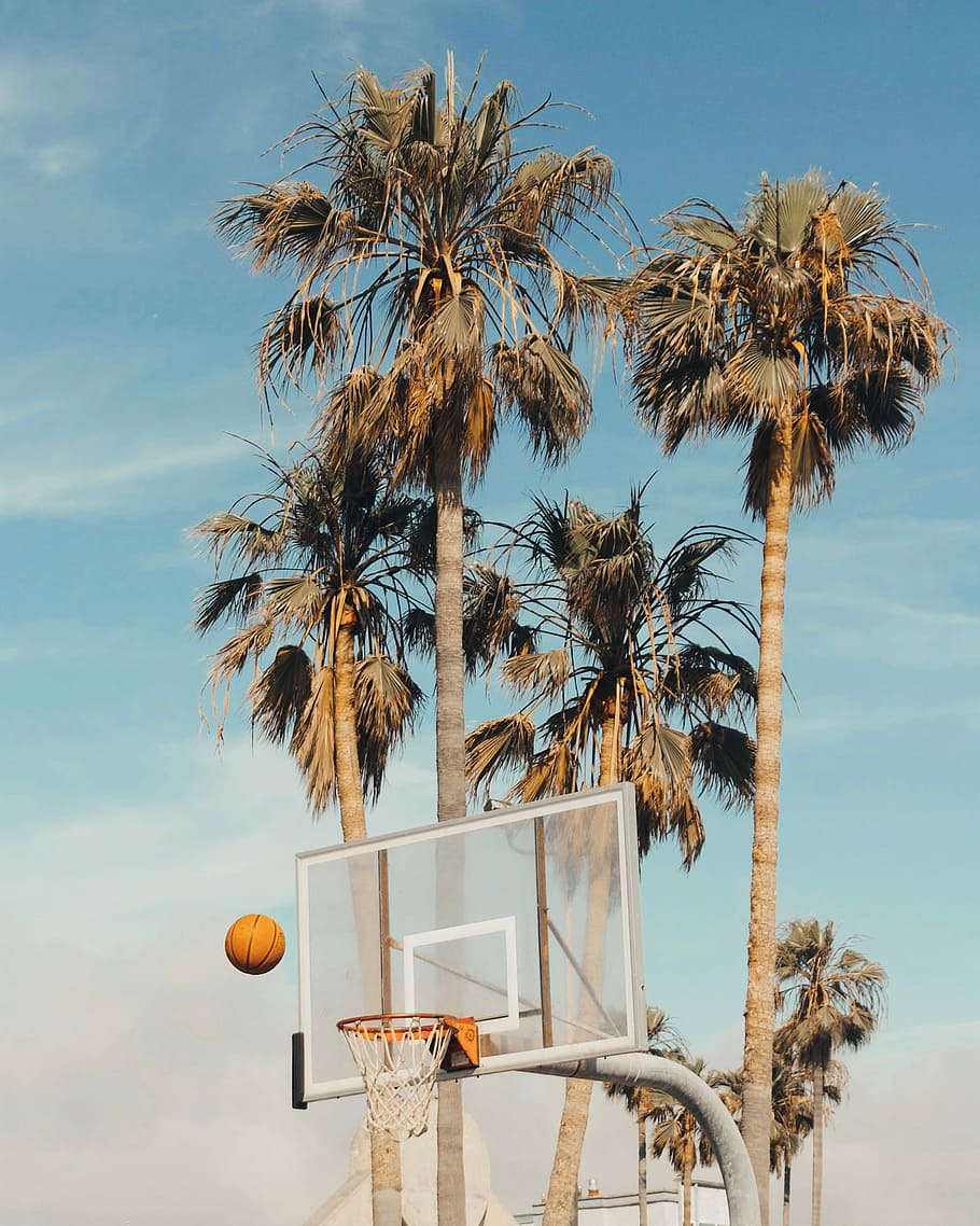 white and gray basketball system beside coconut trees, basketball coming to hoop HD wallpaper