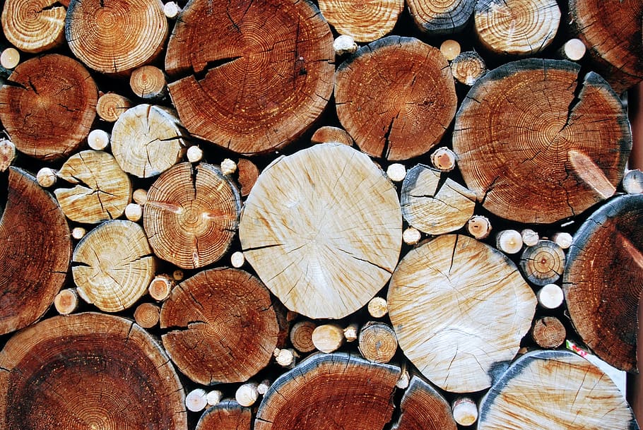 wood, tribe, pattern, wood pile, tree trunk, timber, full frame, HD wallpaper