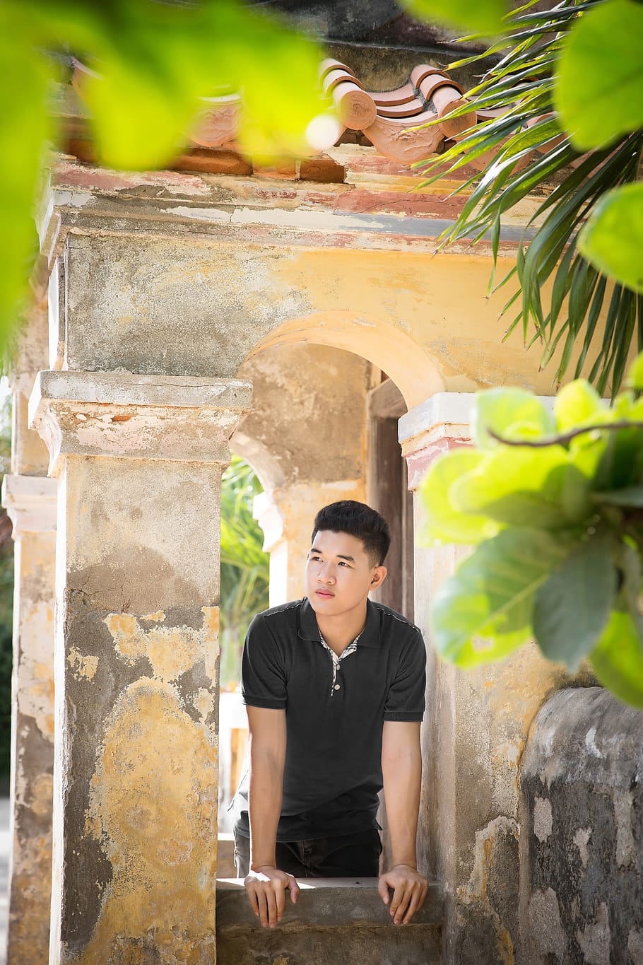 Left, Nice, Man, Window, young, one man only, front view, only men HD wallpaper