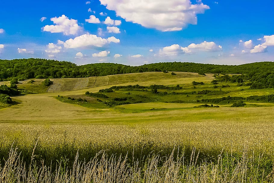green grass field under white clouds at daytime, country, slovakia, HD wallpaper