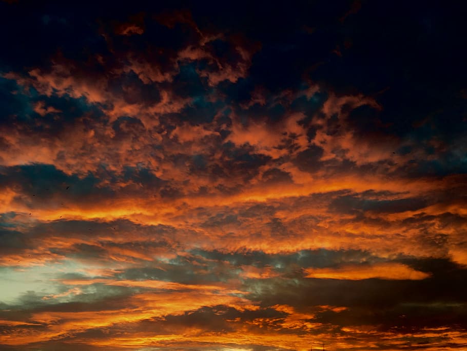 nimbus clouds during golden hour, white clouds during susnet HD wallpaper
