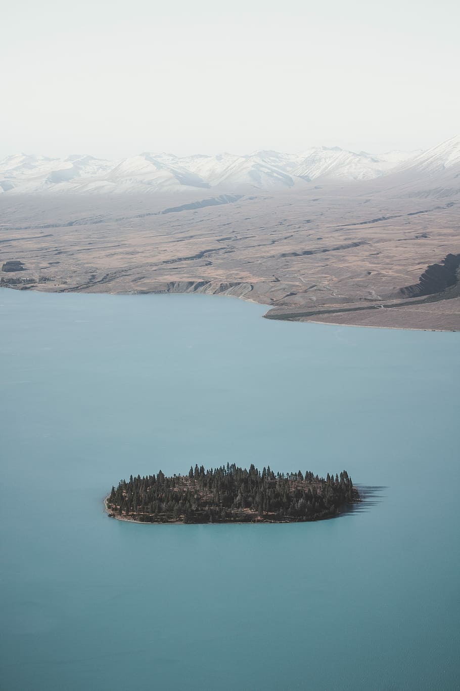 forest islet near seashore during daytime, island surrounded with water at daytime HD wallpaper