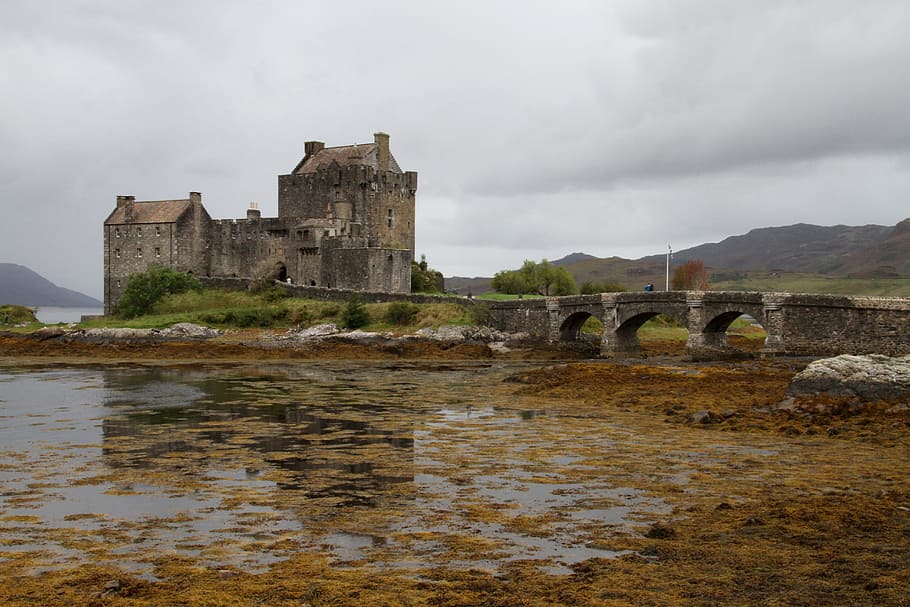 grey castle near body of water and surrounded trees, Eilean Donan Castle HD wallpaper