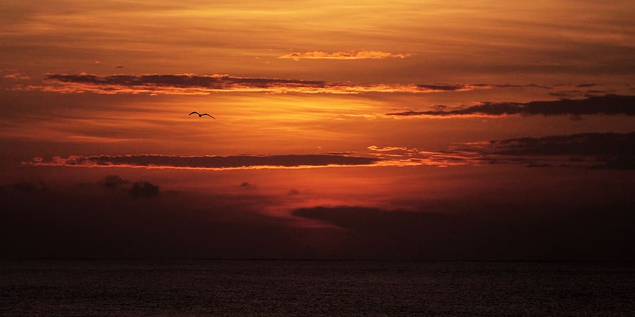 dawn, light, sky, sunset, cloud - sky, beauty in nature, water HD wallpaper