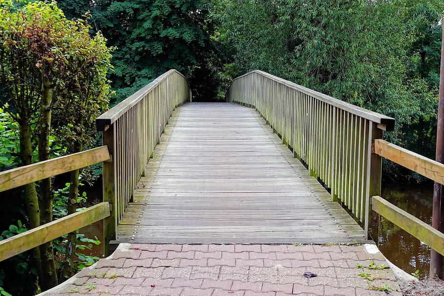 bridge, wood, river crossing, web, park, trees, idyll, plant HD wallpaper