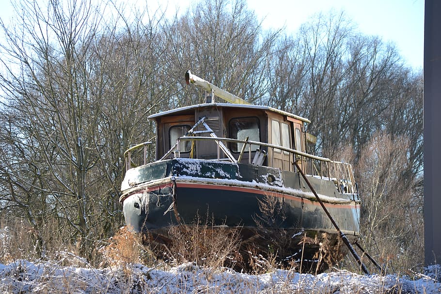 winter, wood, snow, tree, nature, wreck, decay, old, stainless HD wallpaper