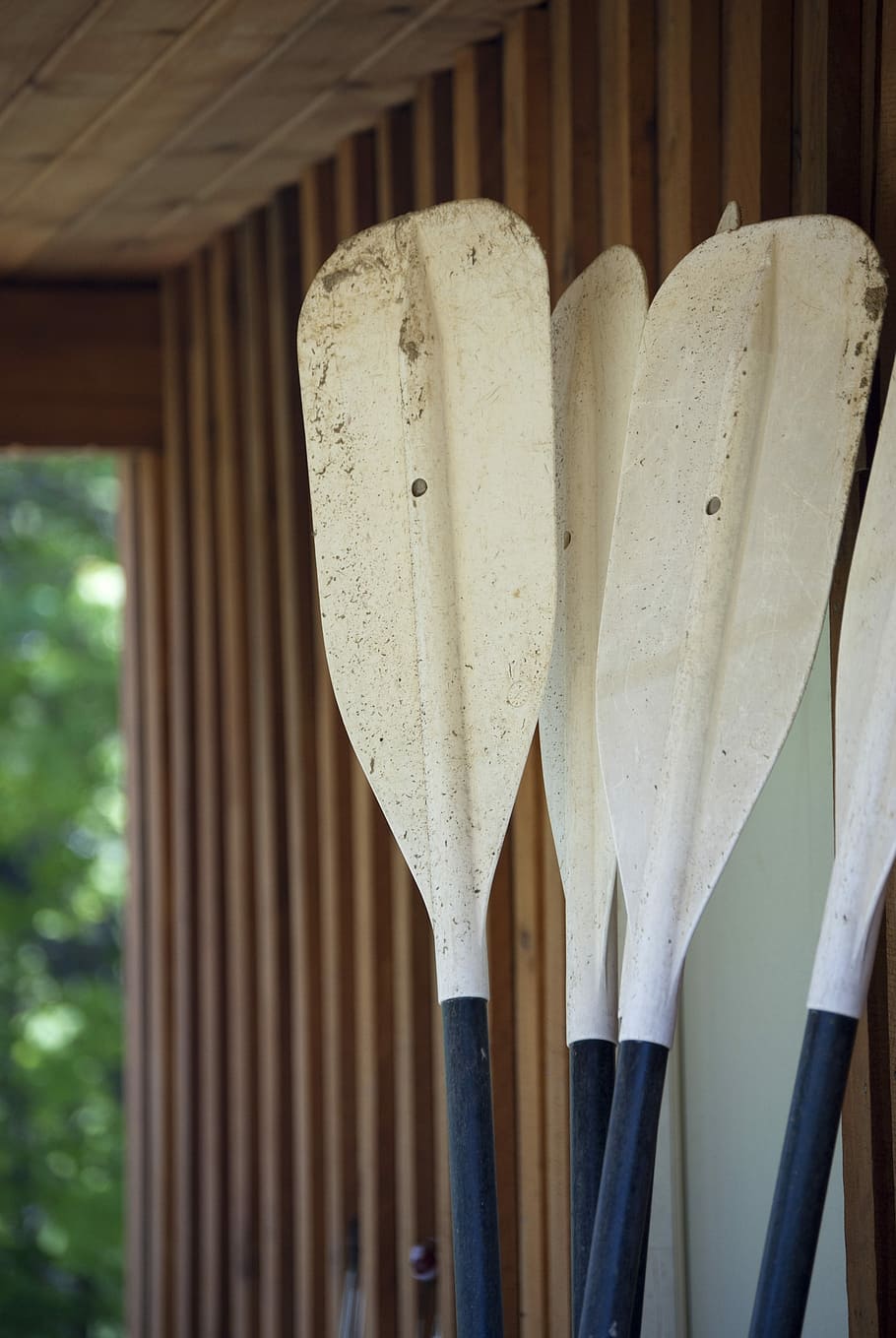 Oars, Canoe, Paddle, Recreational, summer, nature, outdoors HD wallpaper