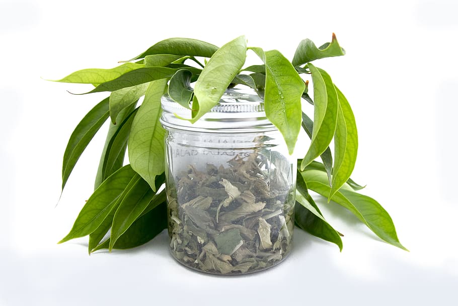leaf, flora, herbal, healthy, plant part, food, food and drink HD wallpaper