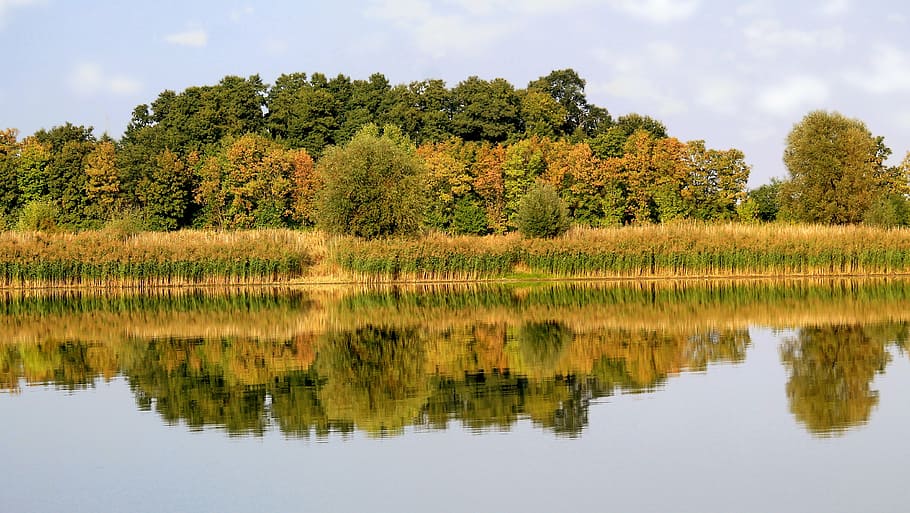 landscape, mirroring, trees, lake, waters, reflection, nature HD wallpaper