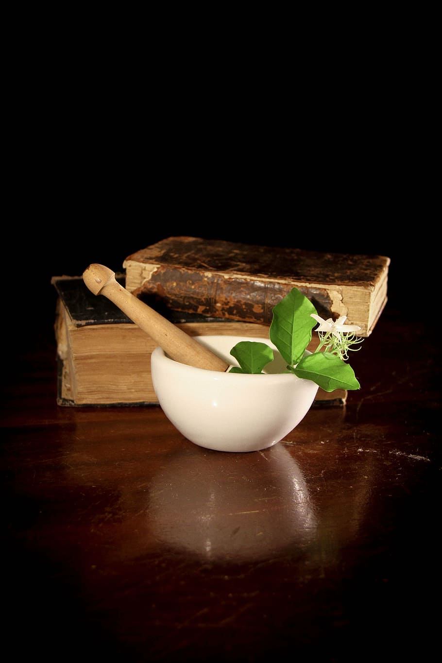 mortar and pestle with green leaves beside books, pharmacy, pharmacist