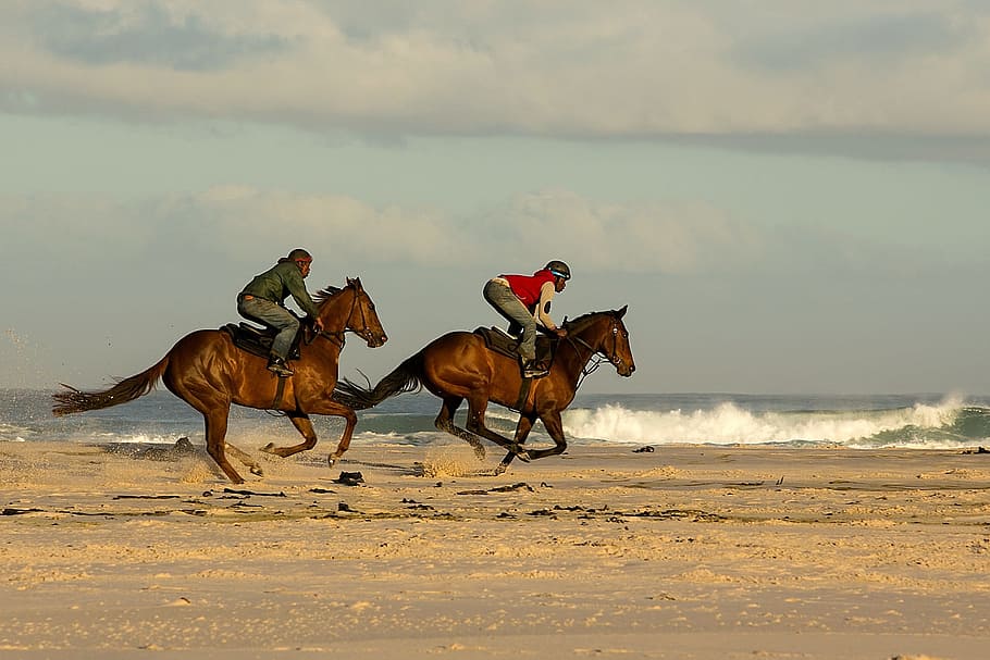 two person riding horse running on seashore during daytime HD wallpaper