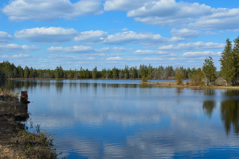 body of water surrounded by trees during daytime, reflection HD wallpaper