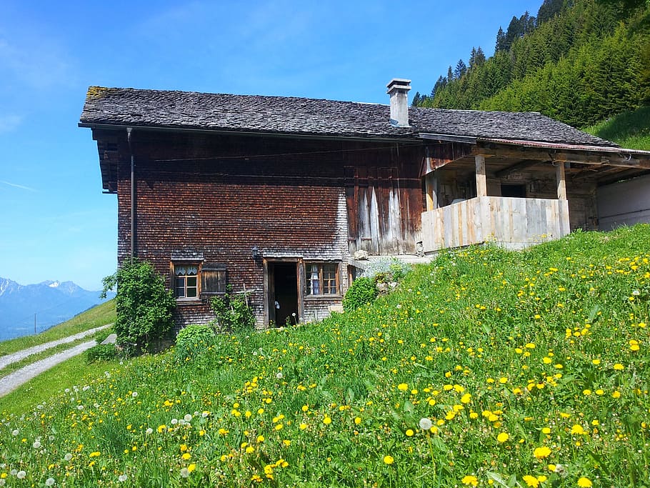 alm, hut, summer, plant, architecture, built structure, building exterior HD wallpaper