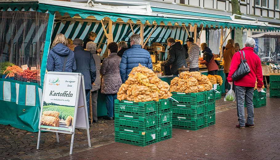 kartoffeln market poster, farmers local market, potato, food, HD wallpaper