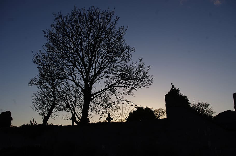 ireland, shadow, tree, silhouette, sky, plant, architecture HD wallpaper