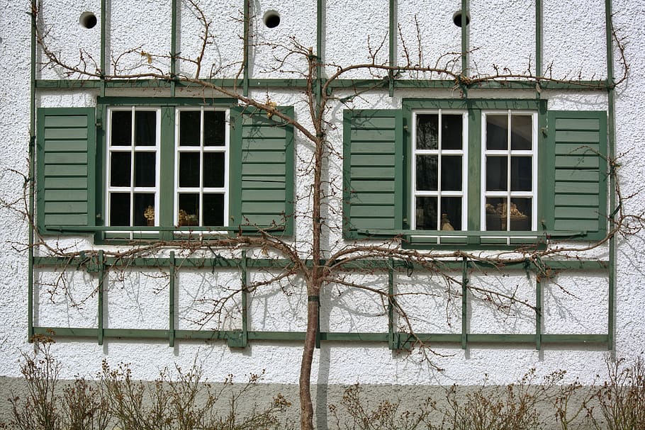 window, old, historically, architecture, facade, shutter, ornament HD wallpaper