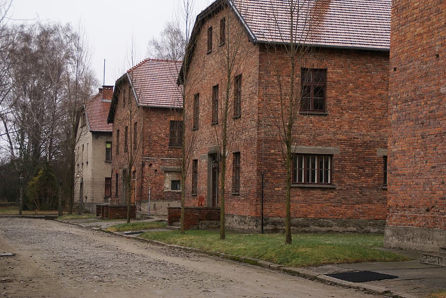 auschwitz, concentration camp, second world war, auschwitz-birkenau HD wallpaper