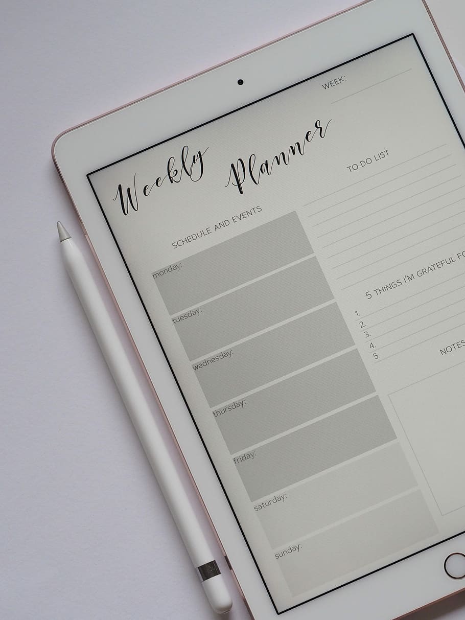 flat lay photography of turned-on silver iPad beside Apple Pencil, rose gold iPad turned on HD wallpaper