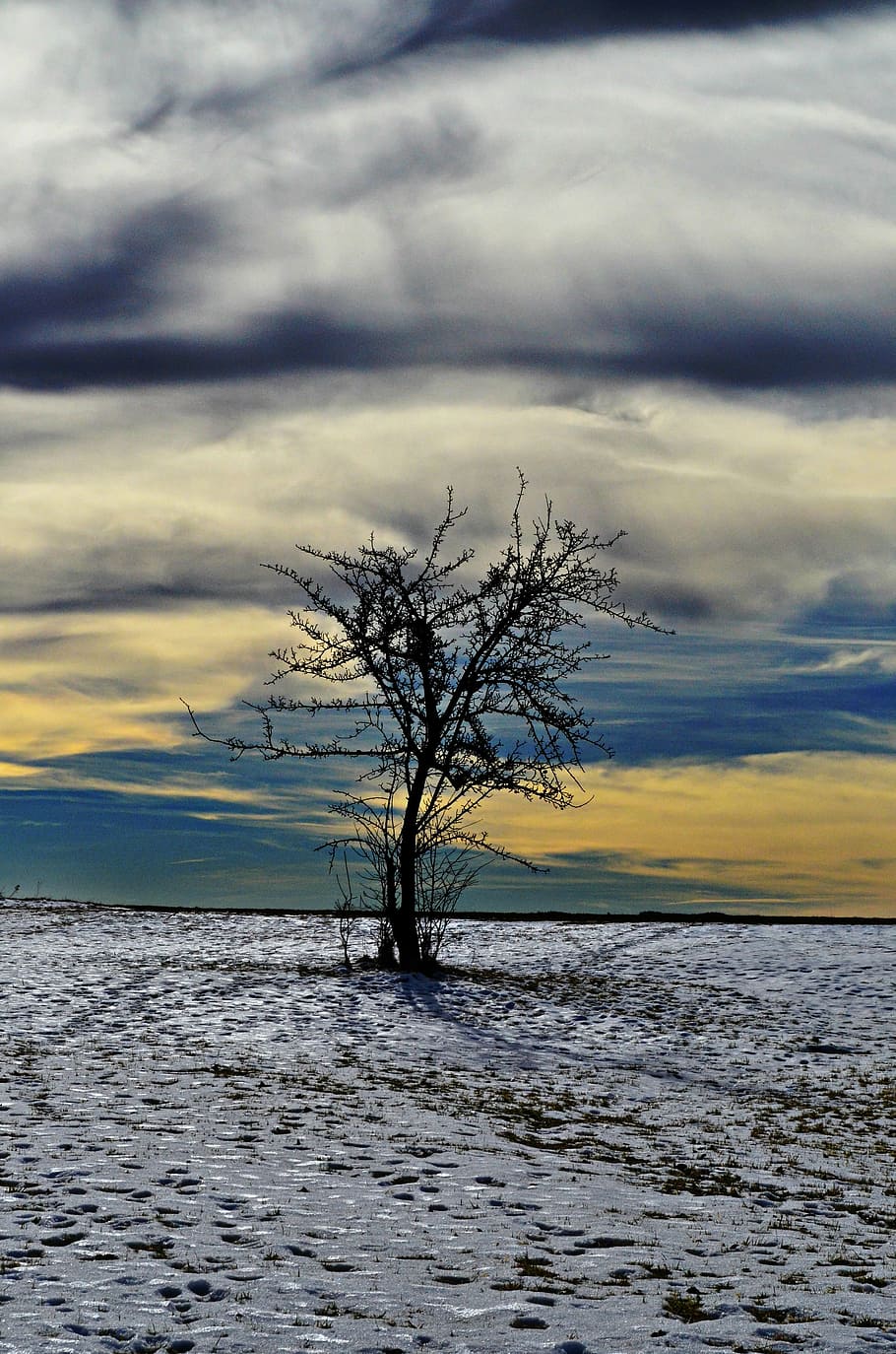 tree, landscape, winter, cloud - sky, beauty in nature, scenics - nature HD wallpaper