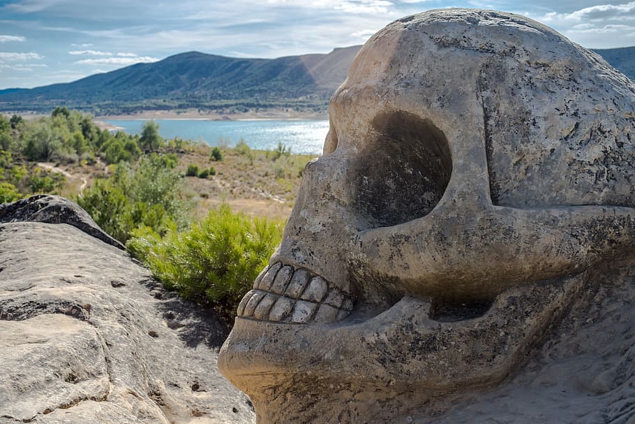 gray skull rock formation during daytime, skeleton, sunset, death, HD wallpaper