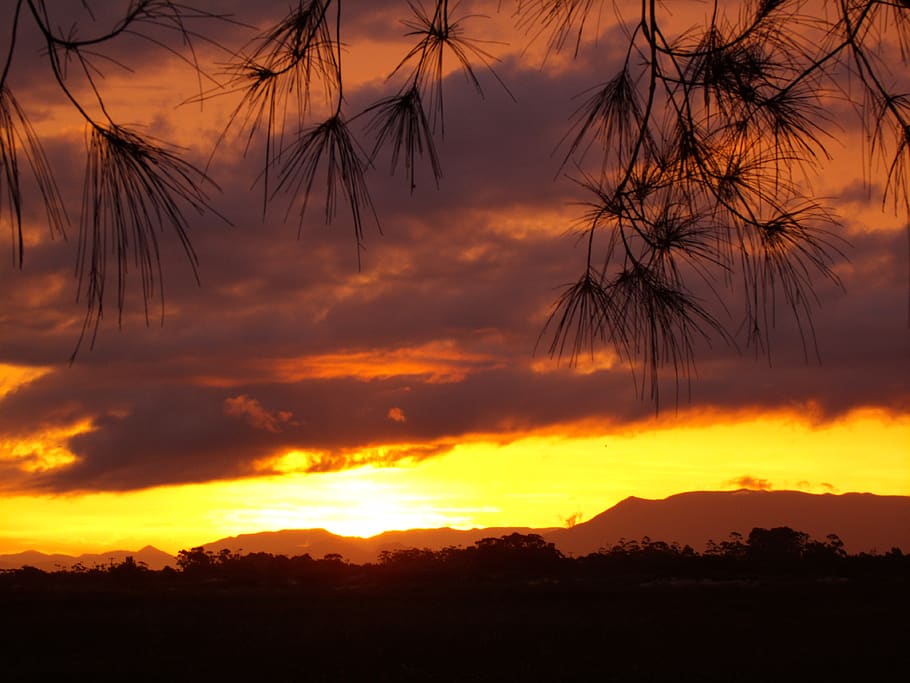 sunset, lawn, serra gaucha, silhouette, orange color, sky, beauty in nature HD wallpaper