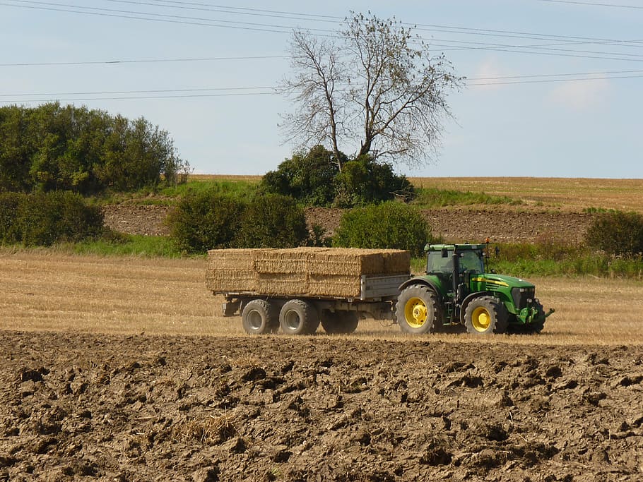 tractor, field, harvest, arable, plow, grain, cereals, agriculture HD wallpaper
