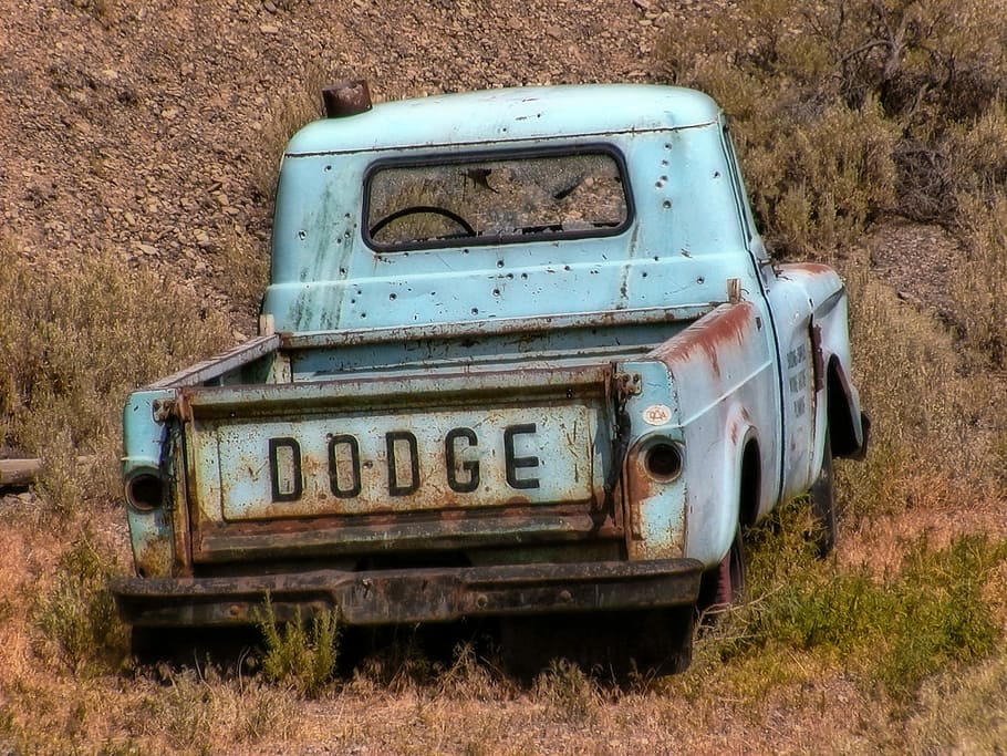 teal Dodge vehicle on green grass near mountain, Old, Truck, forgotten