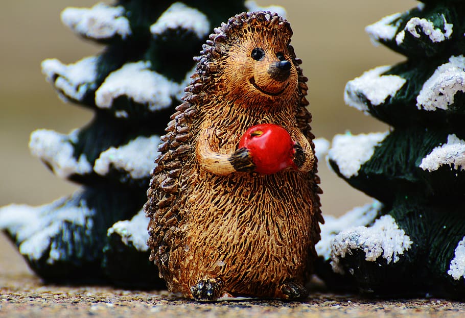 winter, hedgehog, apple, cute, sweet, figure, wintry, deco HD wallpaper