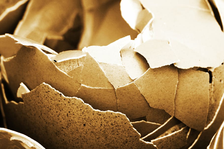 organic egg shells, bird, broken, brown, chicken, close-up HD wallpaper