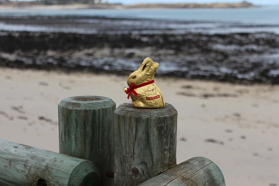 Easter Egg Hunt, Seaside, Chocolate, beach, sand, water, day HD wallpaper
