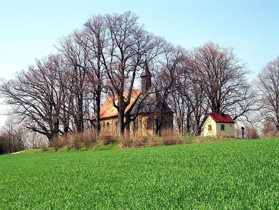 Chapel, Spring, Meadow, Nature, landscape, rural, christian HD wallpaper