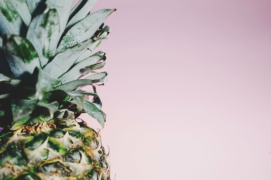 pineapple fruit close-up photography, dessert, appetizer, juice HD wallpaper