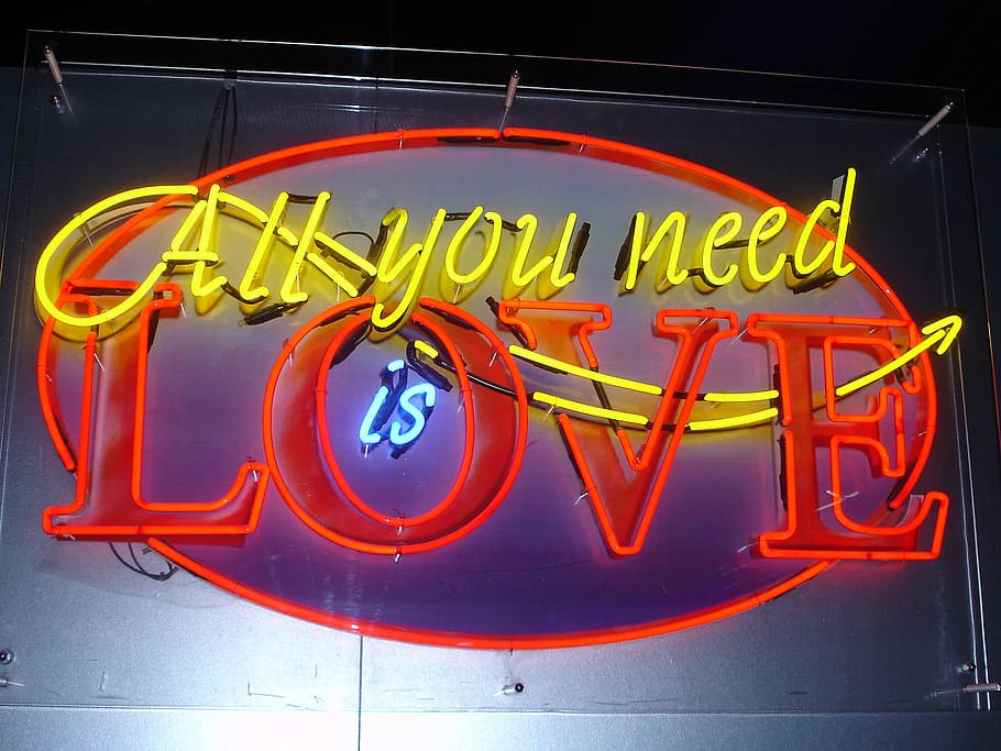 Neon, Love, Logo, Letters, neon letters, in love, text, restaurant, HD wallpaper
