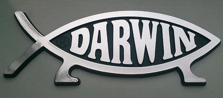 gray Darwin fish logo, Atheist, Religion, close-up, no people HD wallpaper