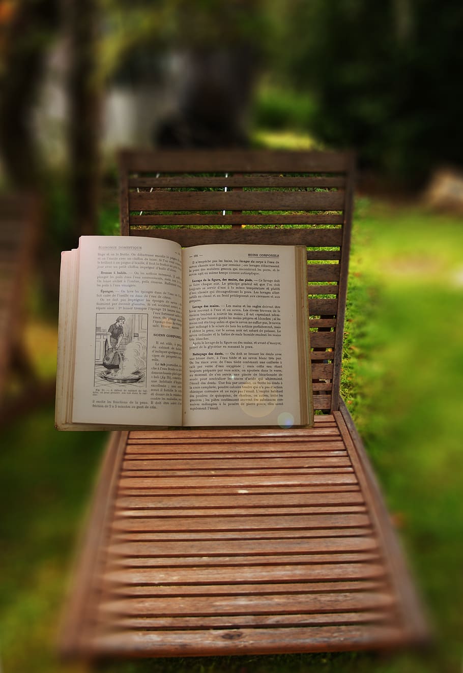 book, former, review, learn, open, garden, tilt shift, communication HD wallpaper