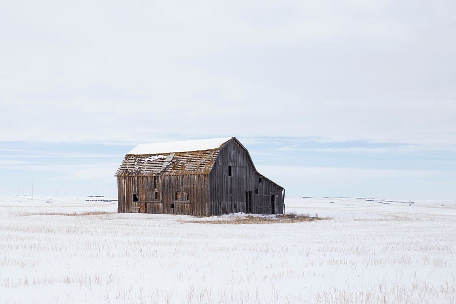 house, cabin, barn, clouds, sky, white, grass, field, built structure HD wallpaper