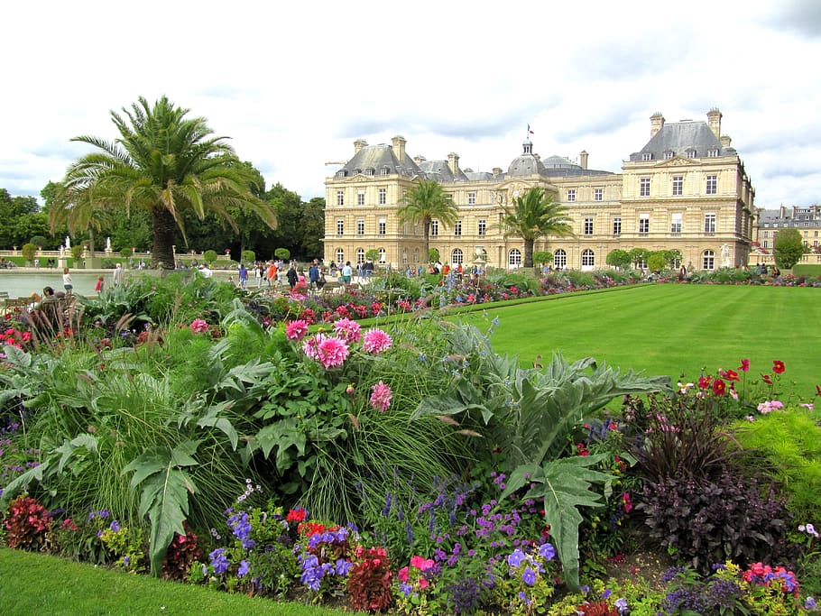 Paris, France, Landscape, Palace, architecture, building, nature