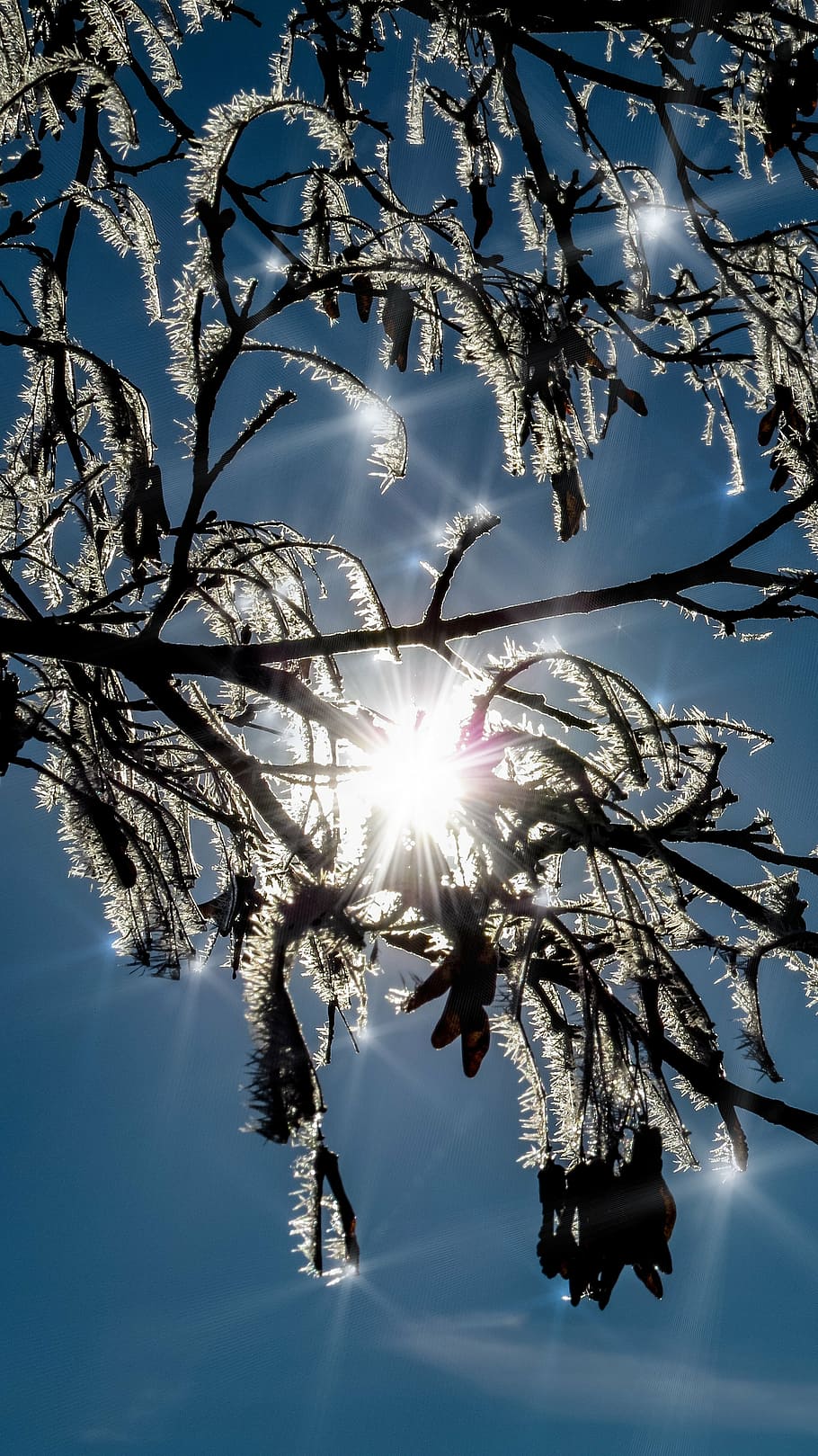 Winter sun Stock Photos, Royalty Free Winter sun Images | Depositphotos