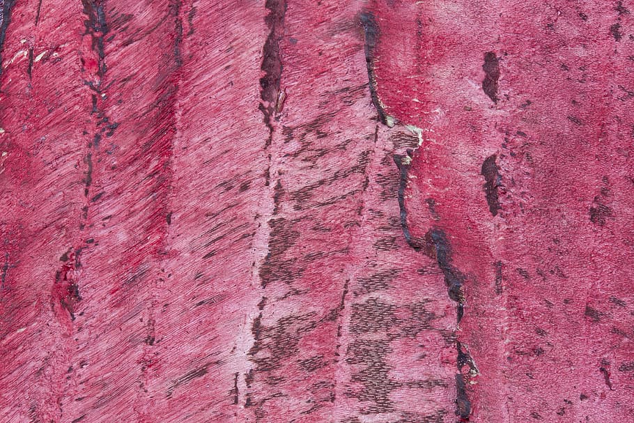 pink and black abstract painting, wood, bark, structure, fund HD wallpaper