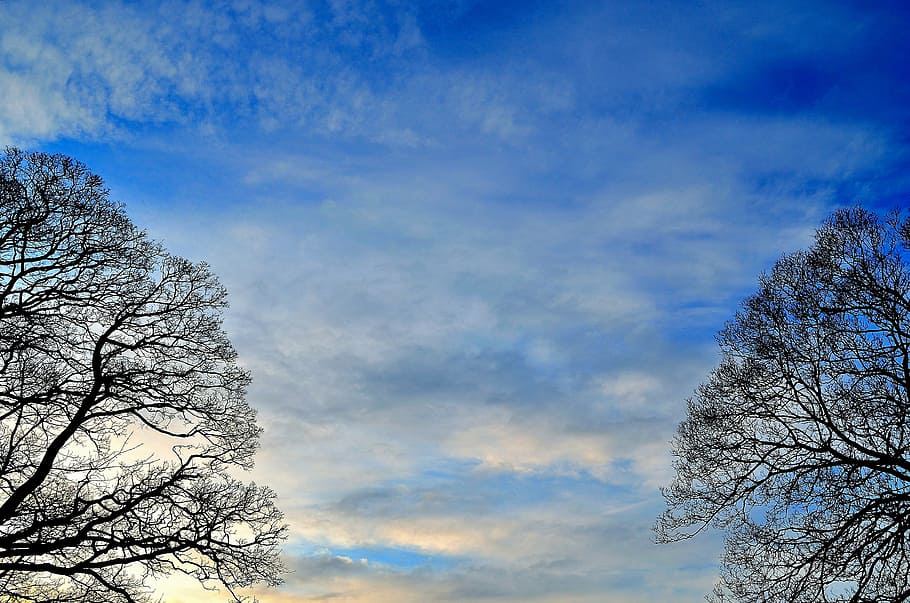 background, sky, trees, landscape, postcard, clouds, blue, nature HD wallpaper