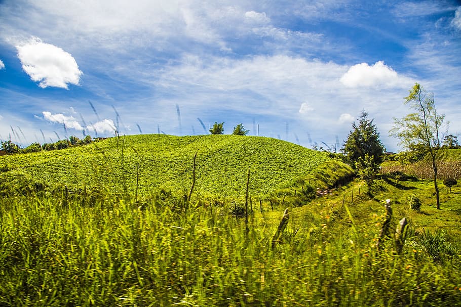 landscape, mountain, green, plant, green color, cloud - sky HD wallpaper
